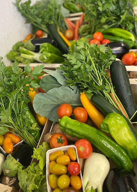 Gemüsekisterl mit frischem Gemüse: Tomaten, Kartoffeln, Paprika, Petersilie, Fenchel, Zucchini